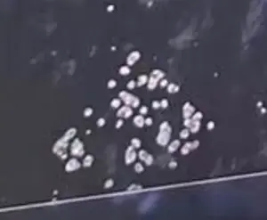 Defective 2D Code